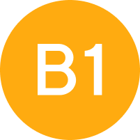 B1